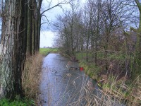 /album/fotogallerij/beswerd-stil-en-verlaten-02-12-2011-4-jpg/